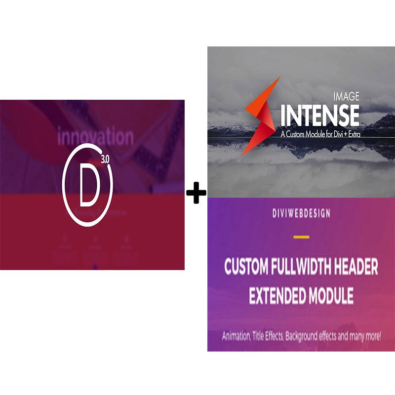 Install Divi Theme And 2 Wordpress Divi Plugins