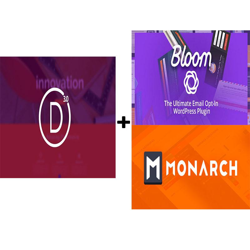 Install DIVI Theme And 2 Wordpress extra DIVI Plugins