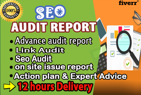 professionally Review Your Website And Give An SEO Audit Report with solution