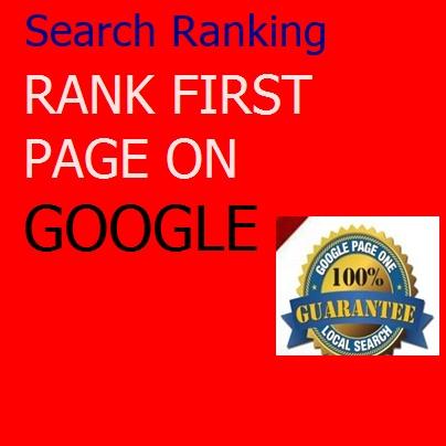 Guaranteed Google 1st page ranking service 