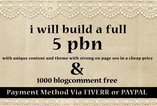  build a full 5 pbn with unique content and theme 