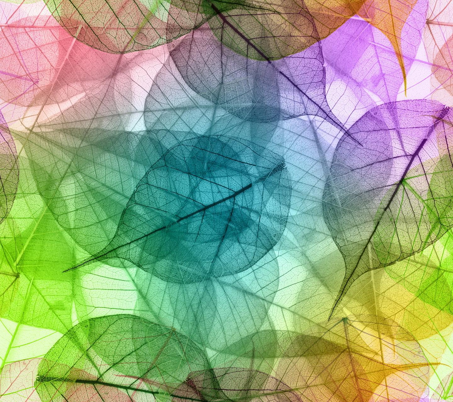 Google 1st Page, through Our incredible 380+ High Authority Seo backlinks