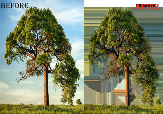 professionally REMOVE Background from any 15 images