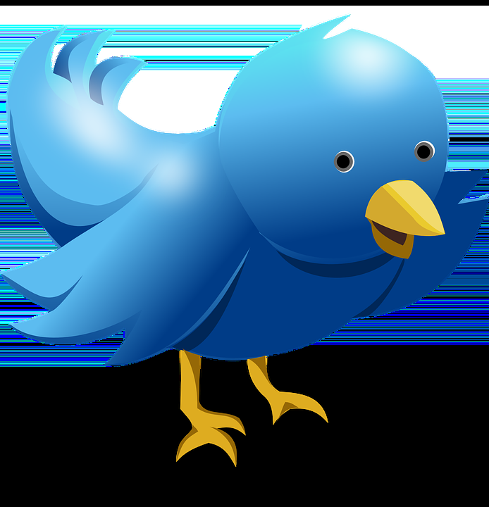 create a custom wordpress theme