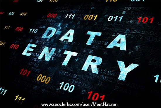 Will Do All Kind Of Data Entry Jobs And Work