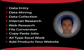 I Can Do Any Kind Of Data Entry work and be your virtual assistant.