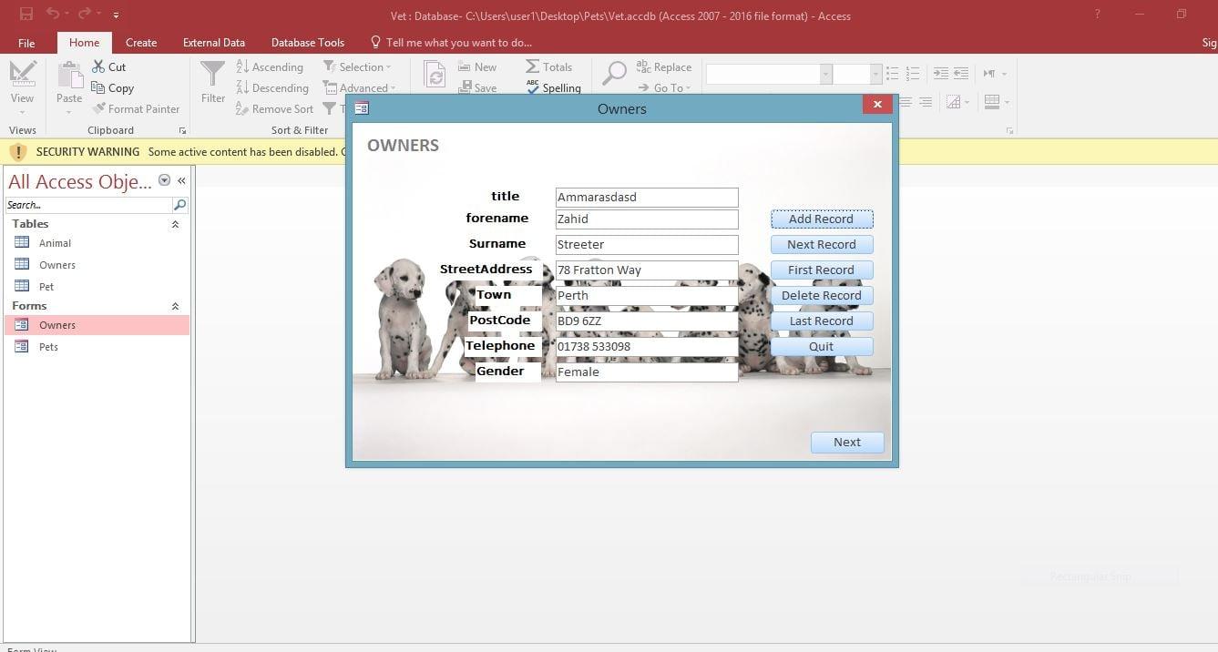 Make professional access databases for your company