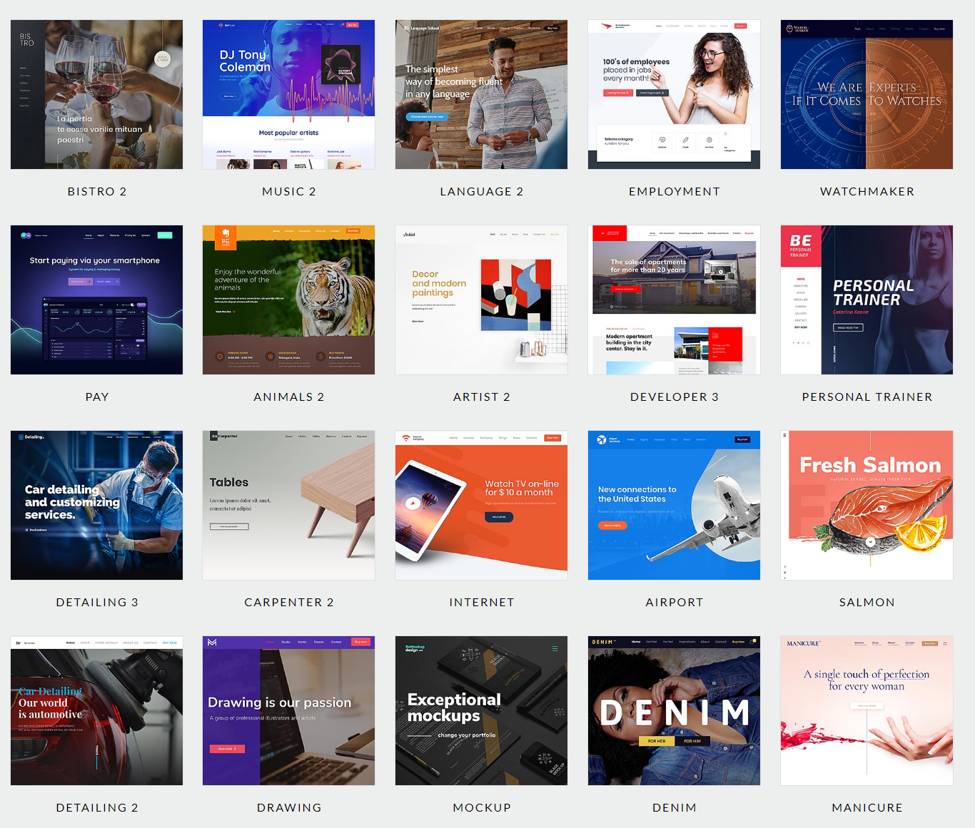 Build Fully Professional Wordpress Responsive Website