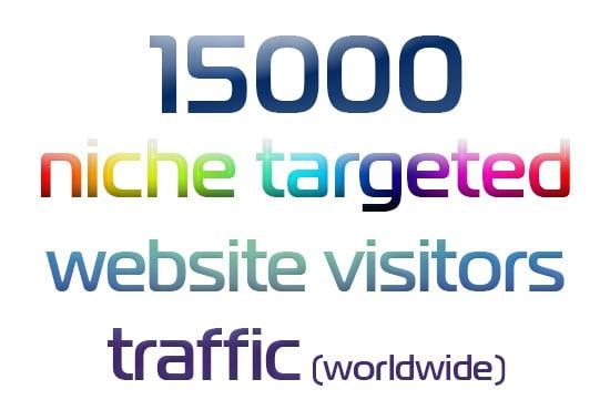 Express 15000 Niche Targeted Website Visitors Traffic