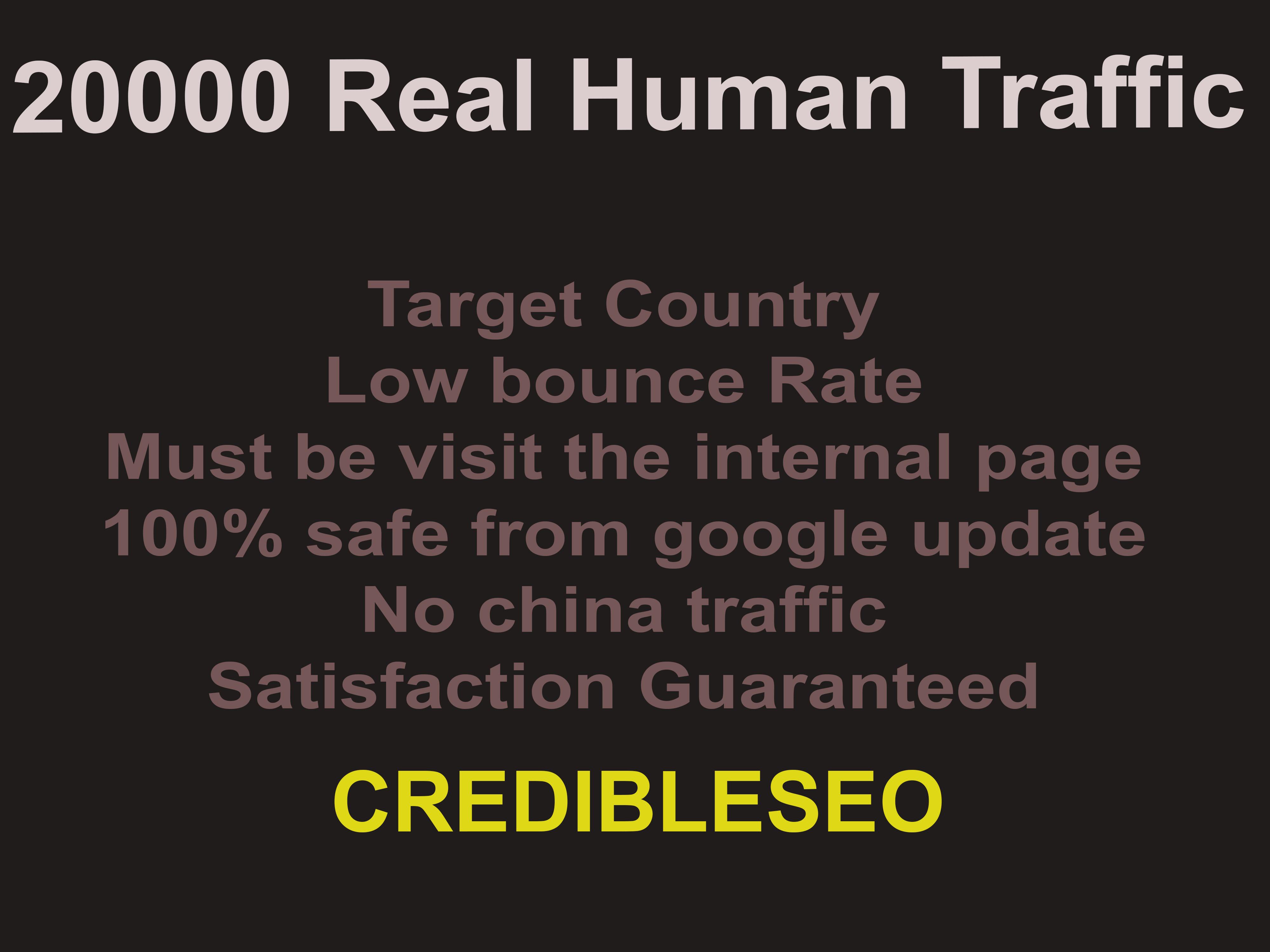 Deliver 20k Real Human Website Traffic