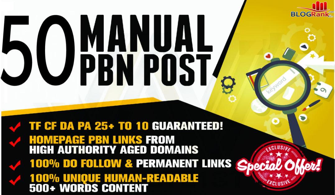 Create 50 High Quality PBN Backlinks With High Metrics
