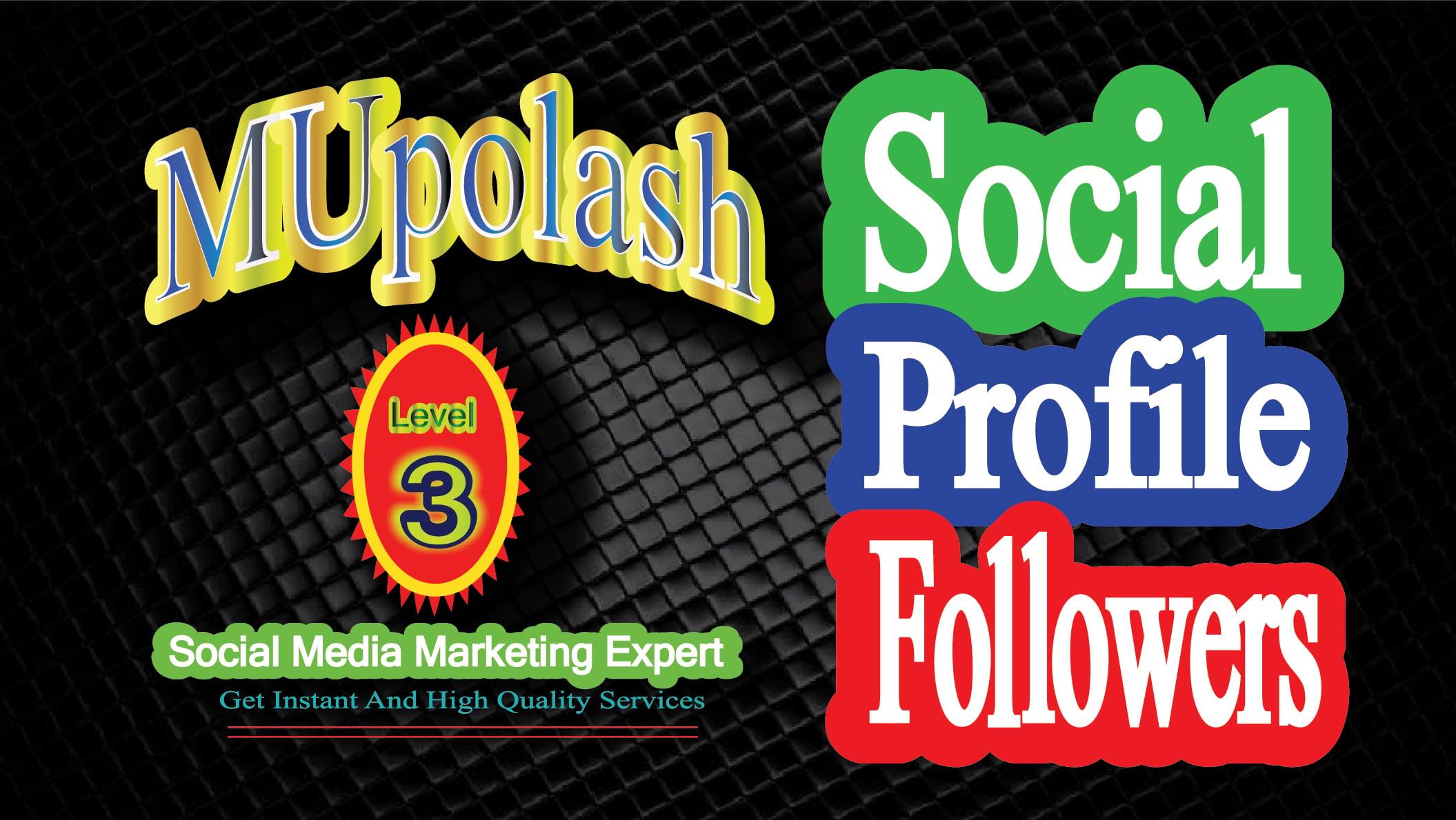 Get Instantly high quality social promotion on your social planform.