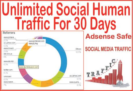 Get 30 days of Human traffic from social & organic web traffic from main search engines
