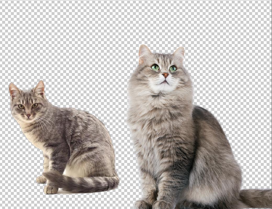 70 Images Background Remove