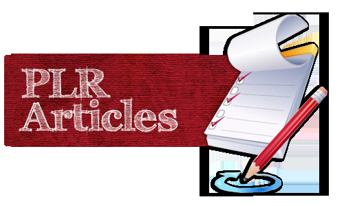 3000++ high quality internet marketing niche article