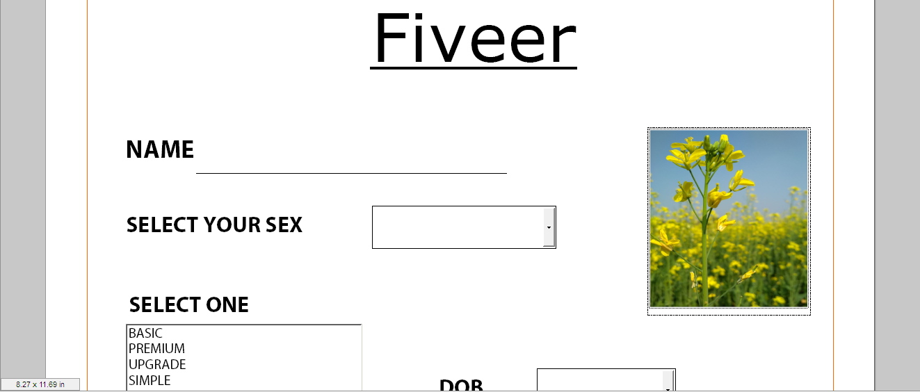 Convert your PDF to DOC, EXCEL or any editable file