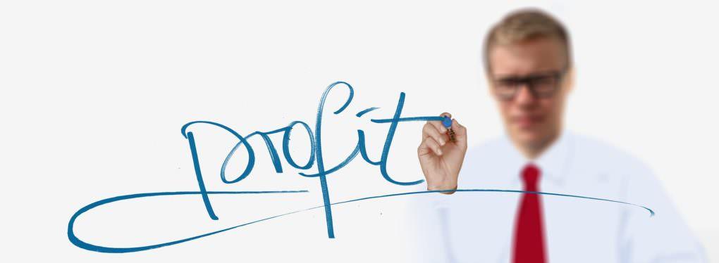 Will Create Profitable Automatic Dropshipping Website Store Of Any Niche