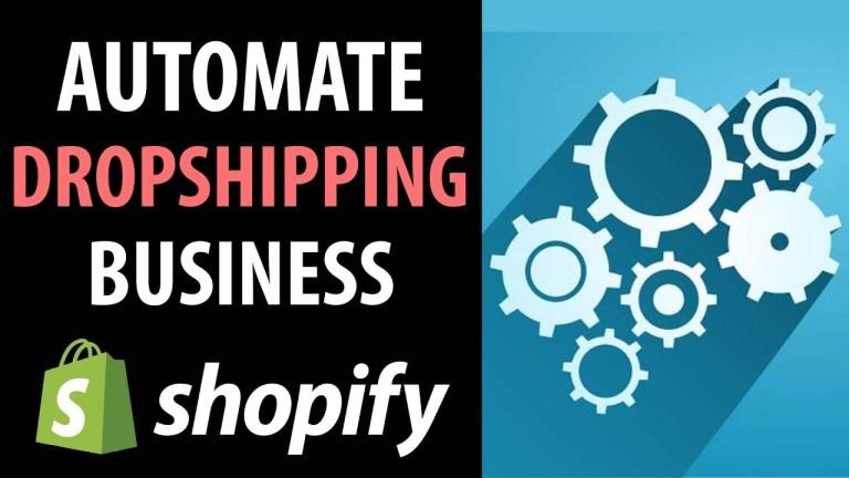 Will Create Profitable Automatic Dropshipping Website Store Of Any Niche