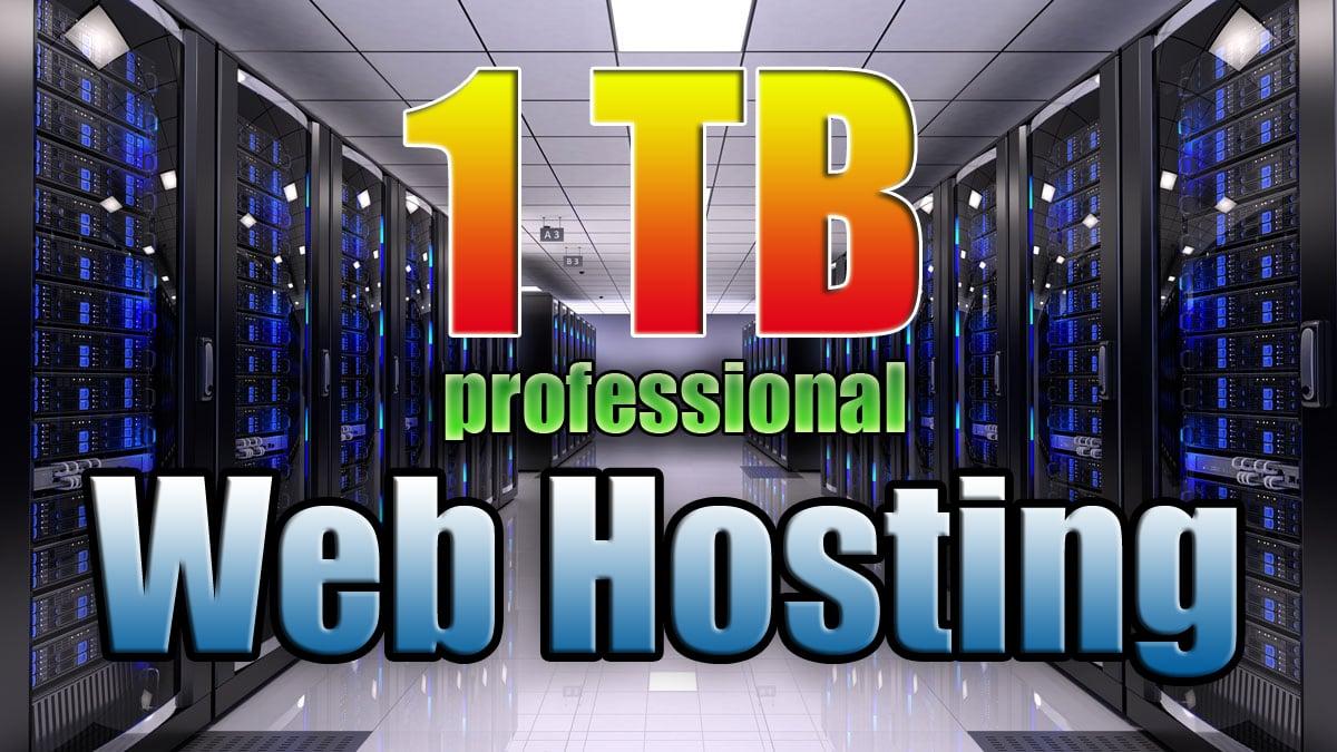 To Provide 1tb Professional cPanel USA Web Hosting + Support