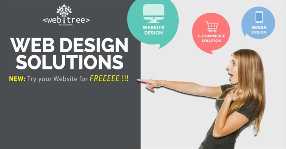 Wordpress developer .create a website