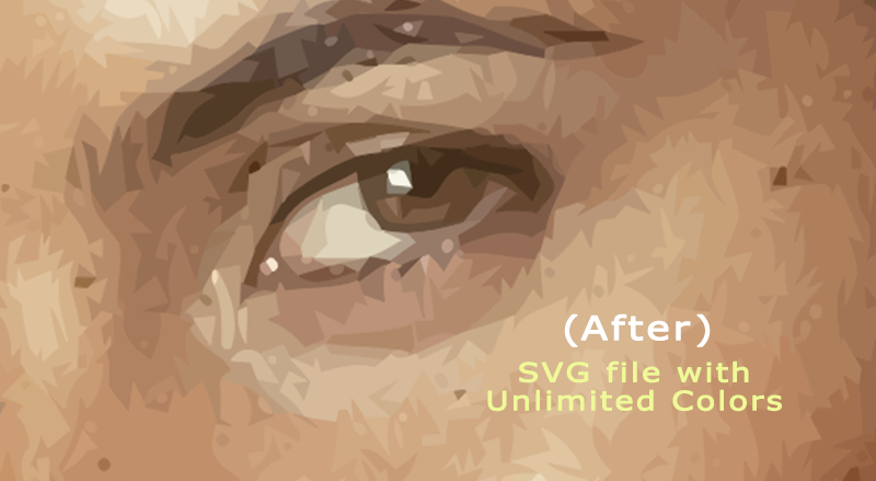 To vectorize Your Logo, Portrait, And Photo Professionally