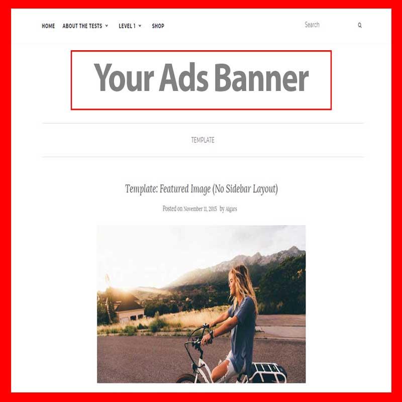 WordPress Themes Templates Layout Design Professional Graphic | websites