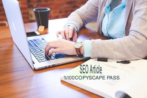 Write A 1000 +   Word SEO Article FOR YOUR WEBSITE  