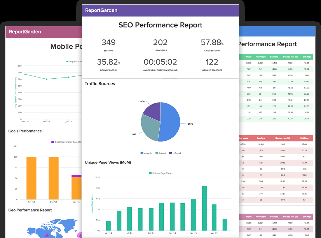 Review Your Website And Write A SEO Report 