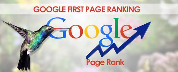 I will   Do SEO First Page Google Ranking For Your Website