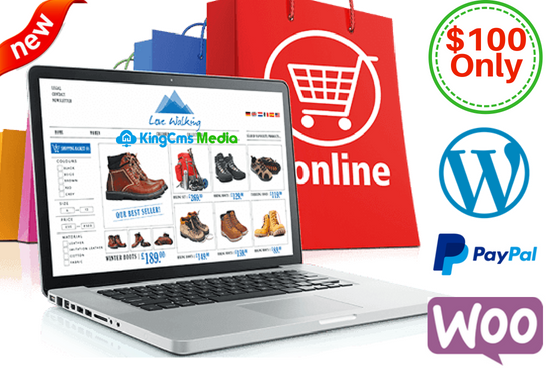 Design Ecommerce Website In 24 Hours With Free Hosting