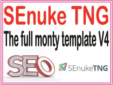 Get SEnuke affordable  Campaign - The full monty template V4