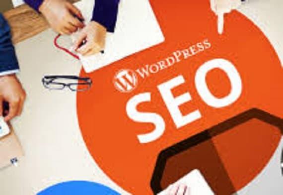 do wordpress SEO , yoast ecommerce optimization 