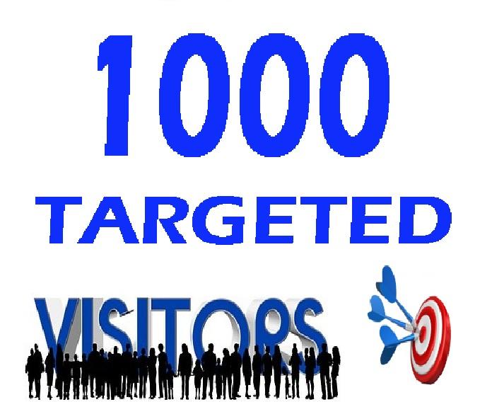 Provide Targeted USA / UK / ITALY / CANADA / FRANCE / GERMANY Traffic 