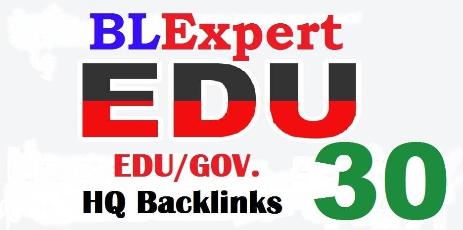 Perfect 30 EDU/GOV SEO backlinks create for your website