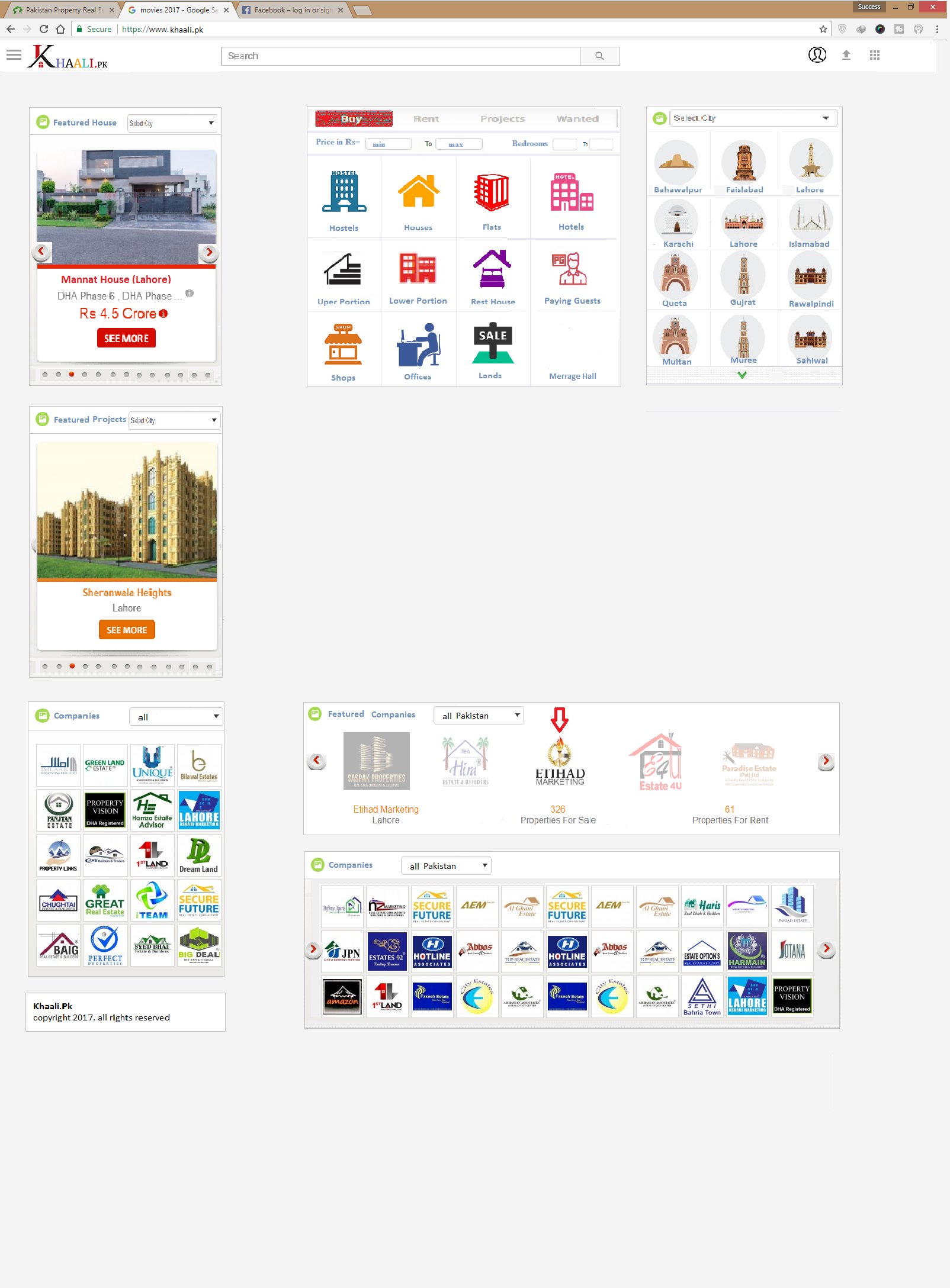 An expert WordPress developer