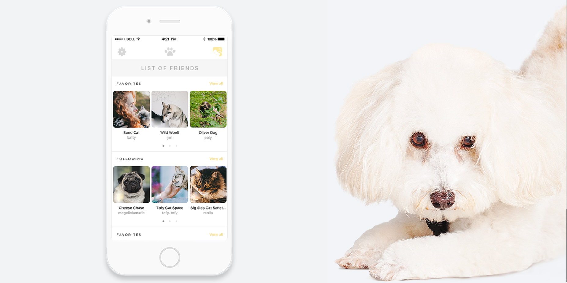 mobile app development *great quality and outstanding design*