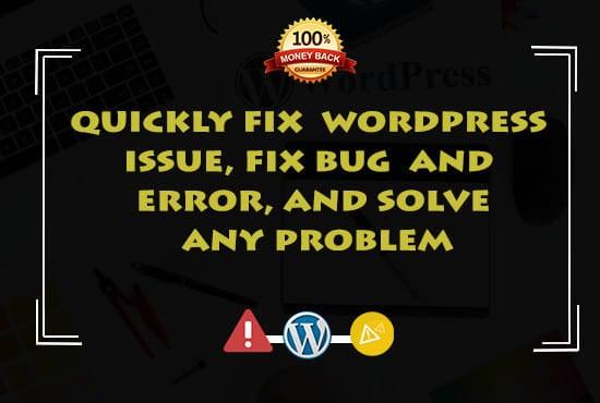 I'll fix any kind of WordPress issues and errors 