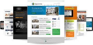 Design Wordpress Website For You