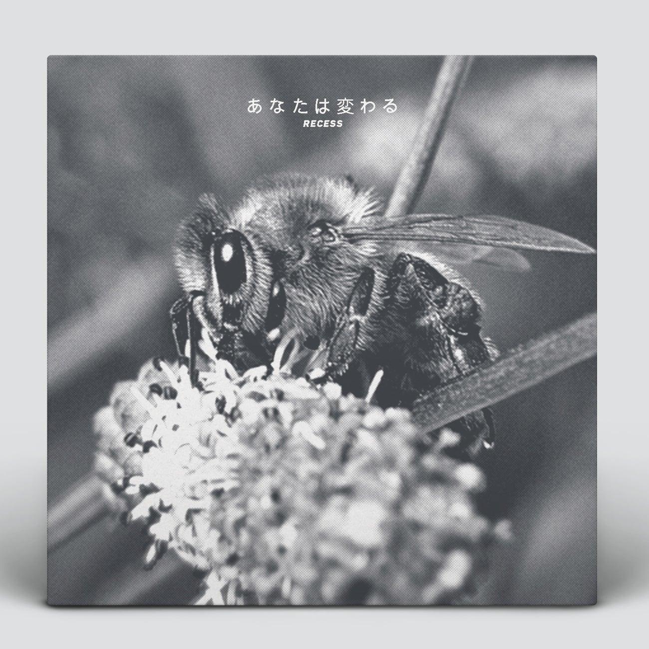  Design An Album Cover or single