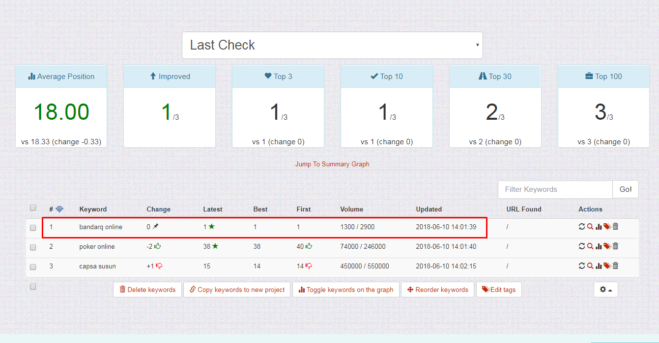Private SEO Gambling - Google Page 1 Guarantee