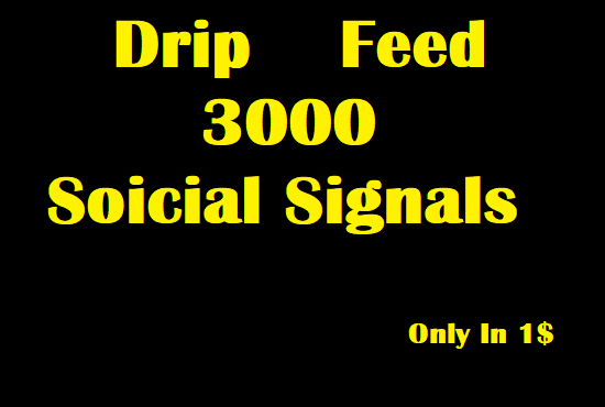 Drip Feed  3000 Sustainable   Social Signals 