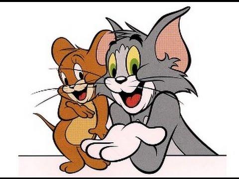 SPecial DEAL Get Unlimited Human Traffic For 80 Days