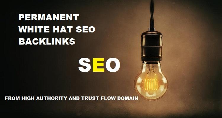 Add 55 High Authority Backlinks,Seo Link Building to Boost Your Ranking