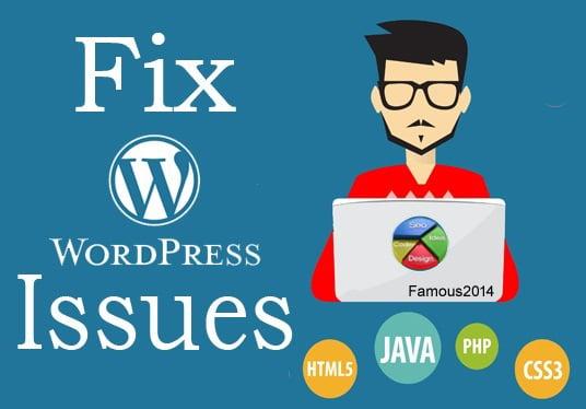 Fix any wordpress issue/bug within 24 hours