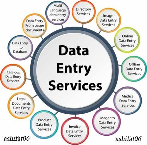 Do data entry work 500 entries