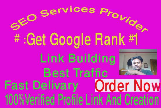  SEO Link-building And ROI Focus Website For Best Profit