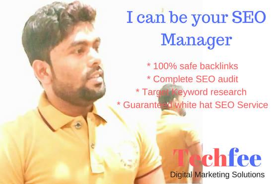 Manage And Execute Quality SEO Service For Your Website