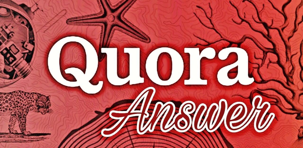 Submit your website with  5 most high quality Quora answer