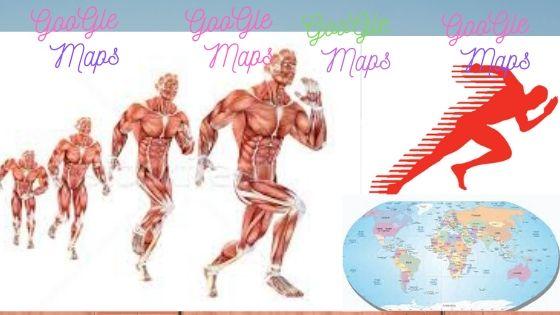 I will do 279 Google Maps With HIGH DA PA quotation nearby SEO listing 