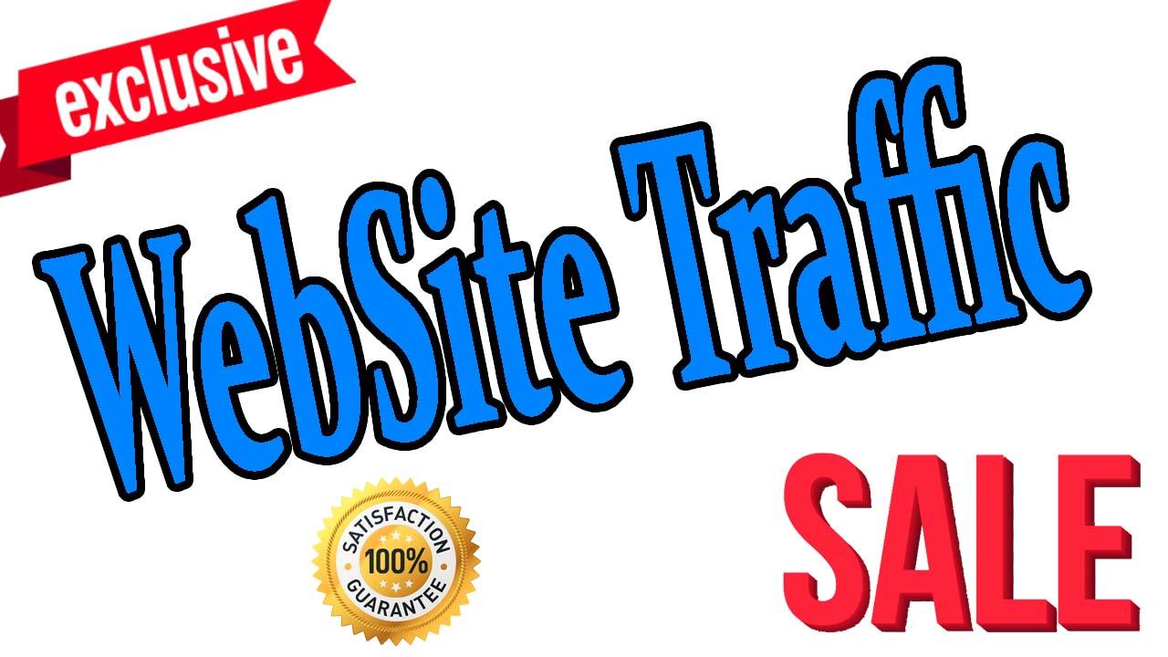 10,000 Real Organic Traffic On Your Website Or Blog Through Social Media Campaign